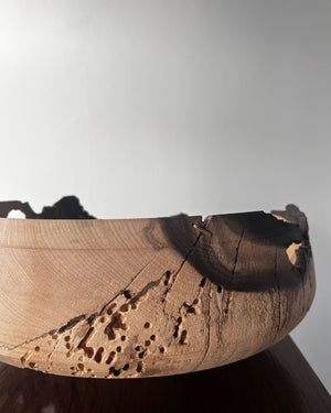 Persimmon Tree Bowl with Natural Holes