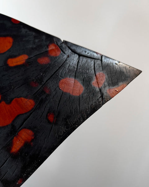 Load image into Gallery viewer, Korean Birch Half Spotted "Remaining" Triangle Sculpture