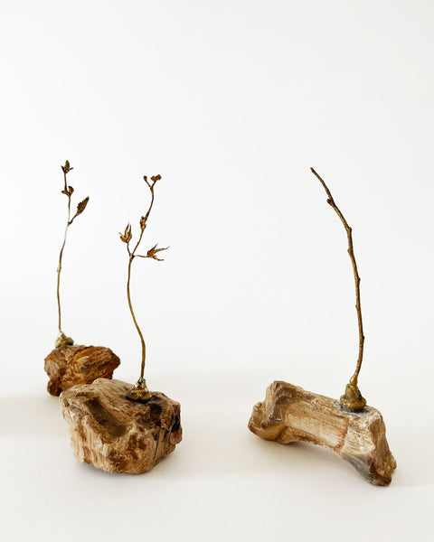 Load image into Gallery viewer, Brass and Stone Sculpture, NHG x Eunjung Ryu
