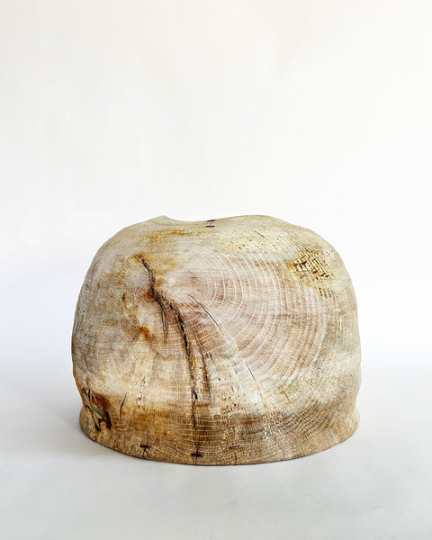 Load image into Gallery viewer, Raw Korean Oak Large-Scale Jellyfish Vessel