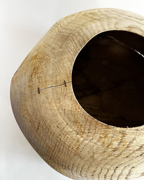 Load image into Gallery viewer, Raw Korean Oak Large-Scale Jellyfish Vessel