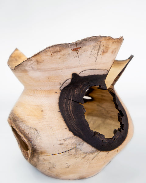 Load image into Gallery viewer, Persimmon wood vase, wabi sabi vase, wood vase, natural wood, wabi sabi home decor, korean artist kim min wook, qi minu
