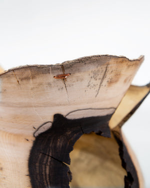 Persimmon wood vase, wabi sabi vase, wood vase, natural wood, wabi sabi home decor, korean artist kim min wook, qi minu