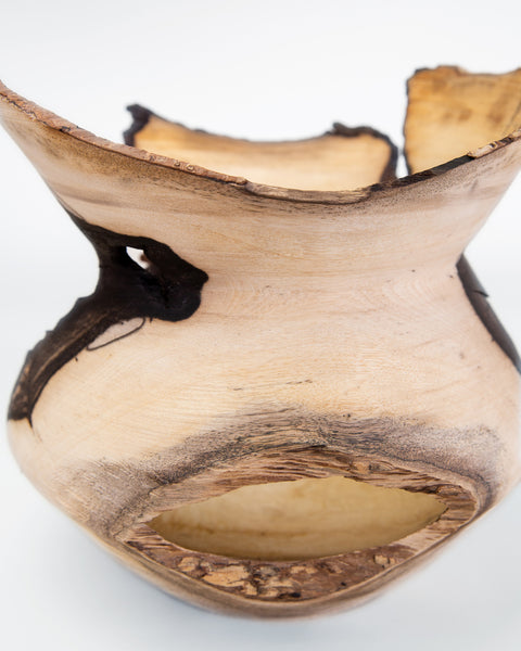 Load image into Gallery viewer, Persimmon wood vase, wabi sabi vase, wood vase, natural wood, wabi sabi home decor, korean artist kim min wook, qi minu