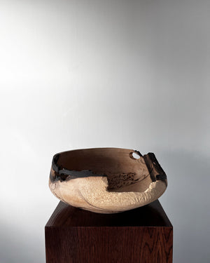 Persimmon Tree Bowl with Natural Holes