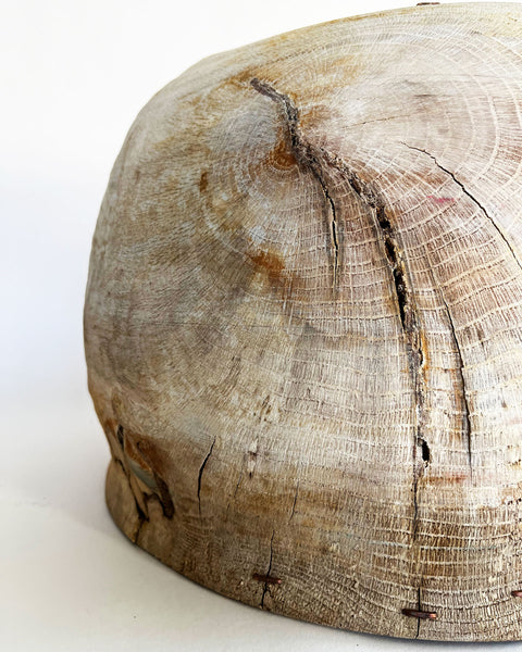 Load image into Gallery viewer, Raw Korean Oak Large-Scale Jellyfish Vessel
